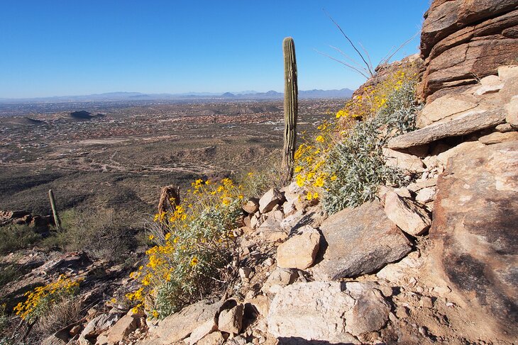 View from Blackett's Ridge Trail