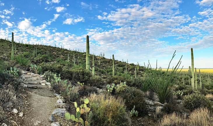 Douglas Springs Trail