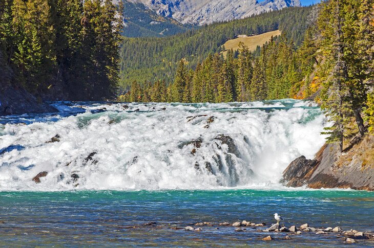 Bow Falls