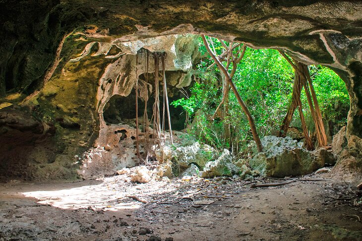 Bat's Cave, Cayman Brac