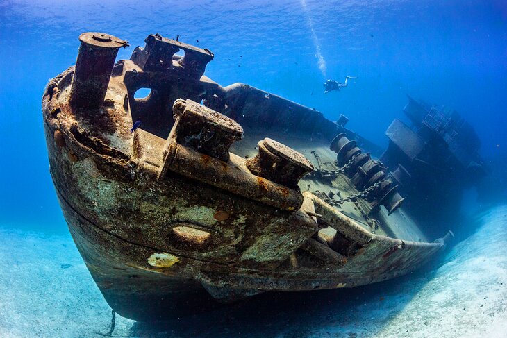 Kittiwake Shipwreck