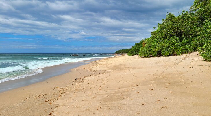 Playa Langosta