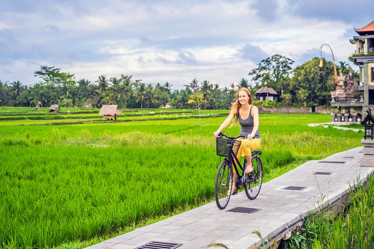 Riding through rice fields in Bali