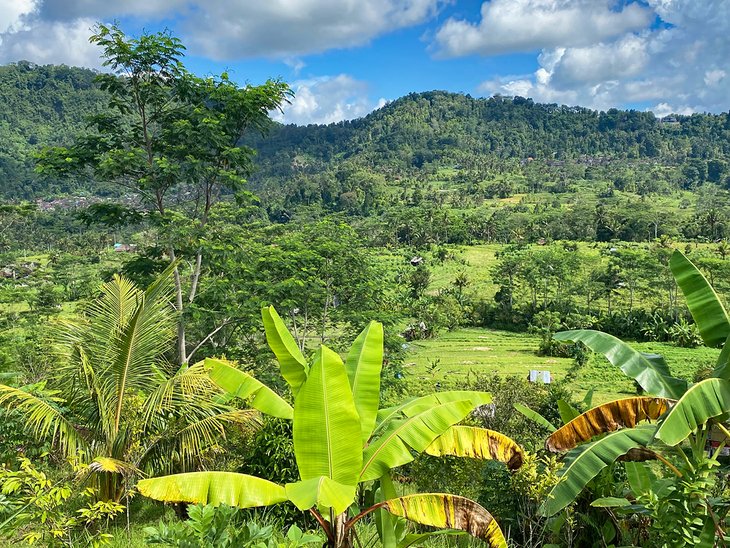 View over the Sideman Valley