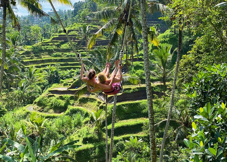 Author Karen Hastings and her sister swinging over the Tegallalang Rice Terrace