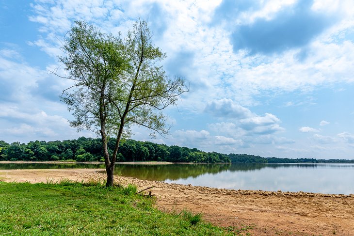 Freeman Lake Trail