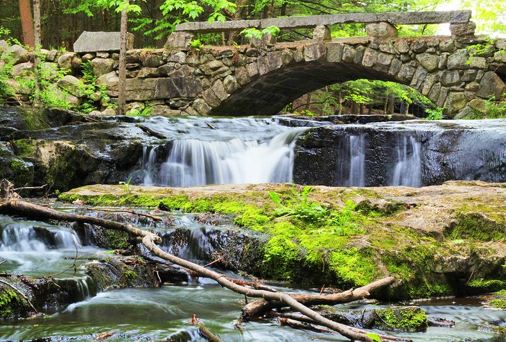 Stone bridge in Vaughn Woods