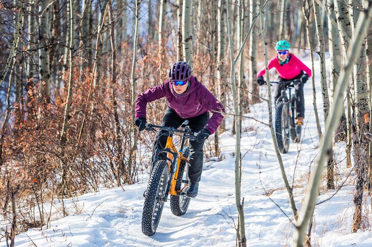 Fat biking in the snow