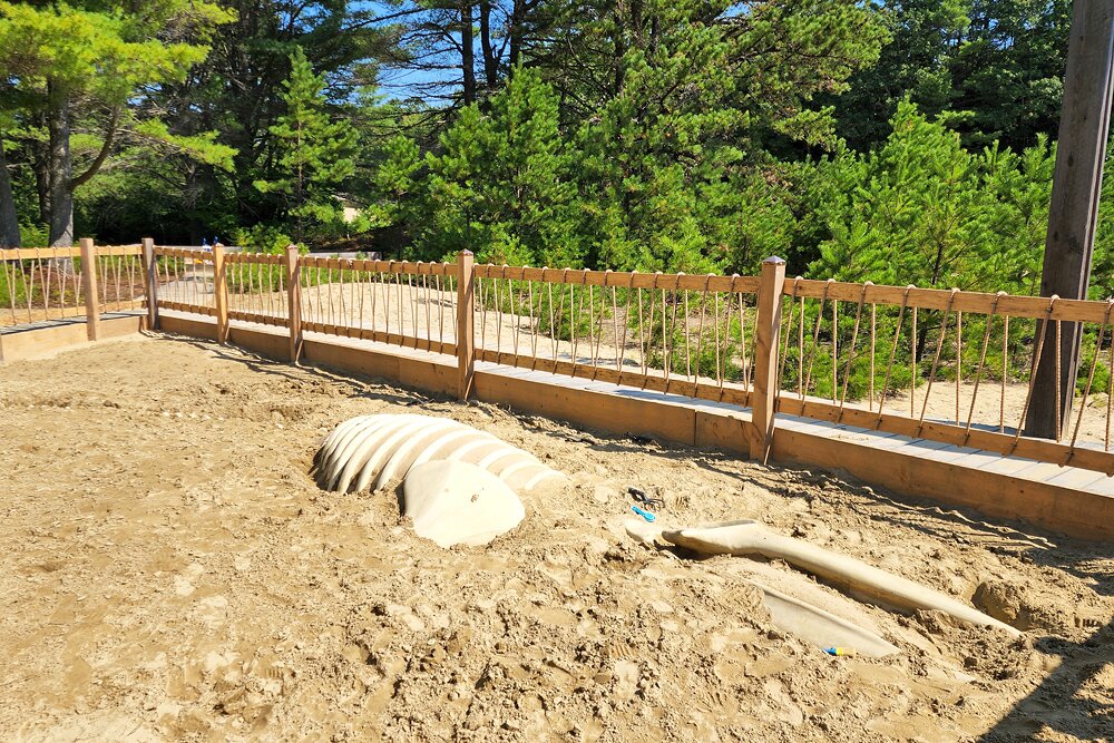 Fossil Dig at the Desert of Maine | Photo Copyright: Lura R Seavey