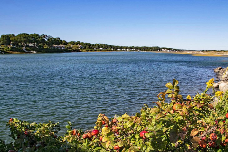 Ogunquit River