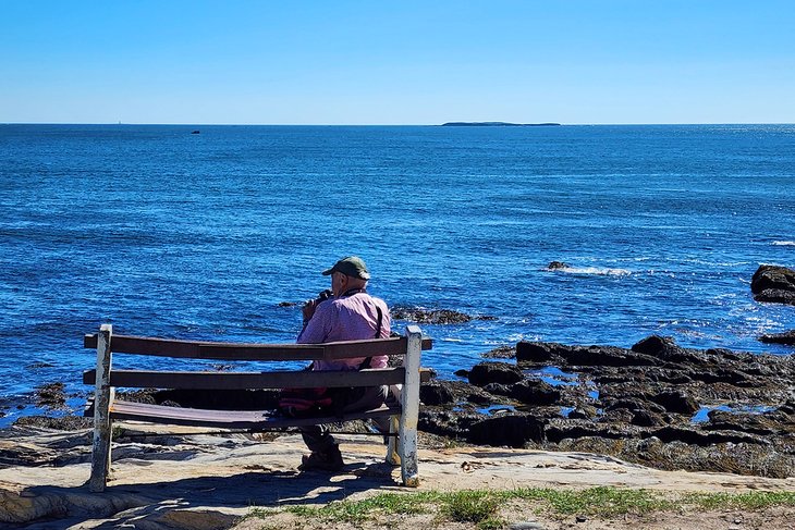 Enjoying the ocean views on Peaks Island