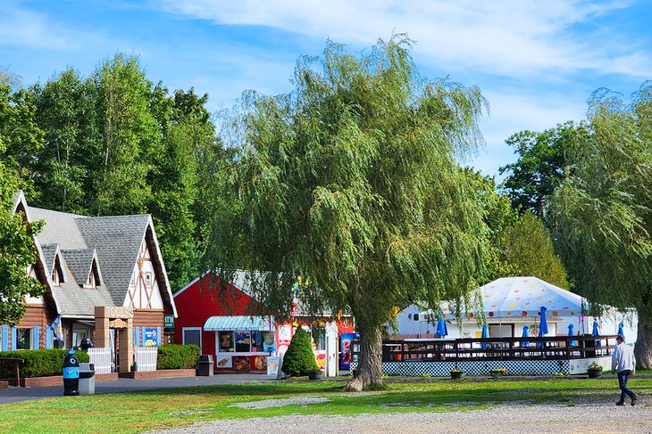 The park at York's Wild Kingdom