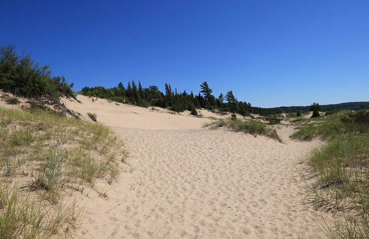 Sand dunes at Petoskey State Park