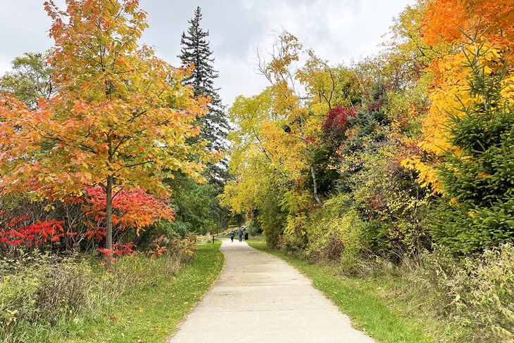 11 mejores cosas que hacer en Petoskey, MI