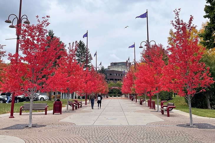 11 mejores cosas que hacer en Petoskey, MI