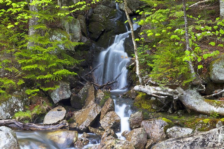 Ammonoosuc Ravine Falls