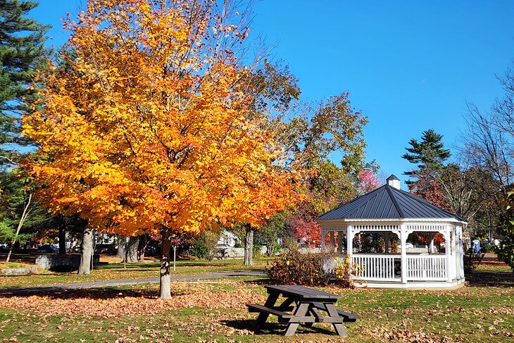 Rollins Park, Concord | Photo Copyright: Lura Seavey