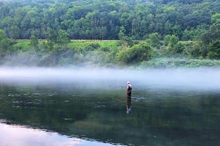 Fly Fishing the Upper Delaware River in Deposit, NY