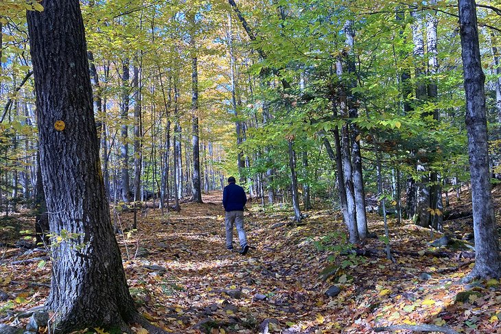 Windham Mountain trail in the Catskills