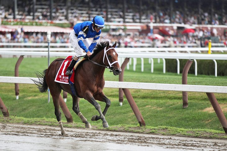 Horse racing at Saratoga Springs