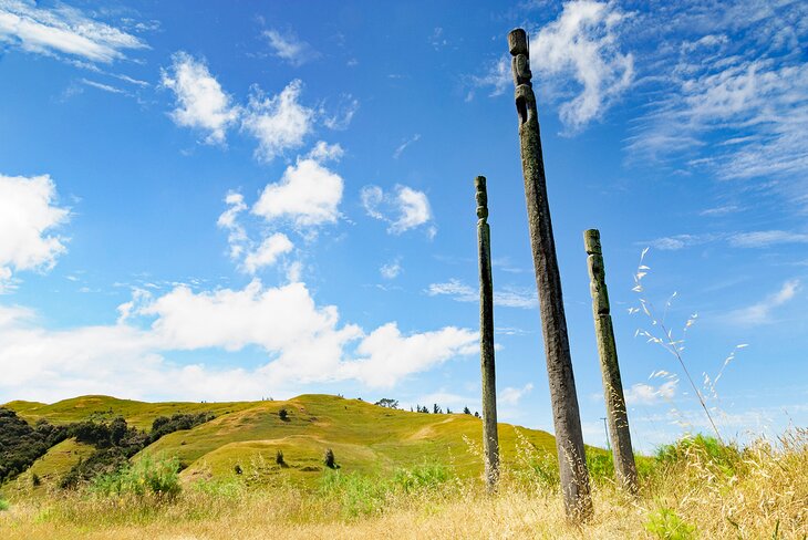 Otatara Pa: A Maori Fortified Village