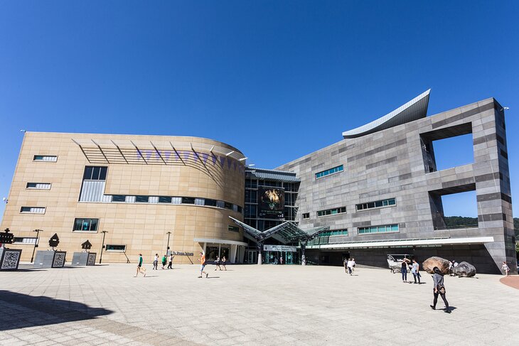 Museum of New Zealand (Te Papa Tongarewa)