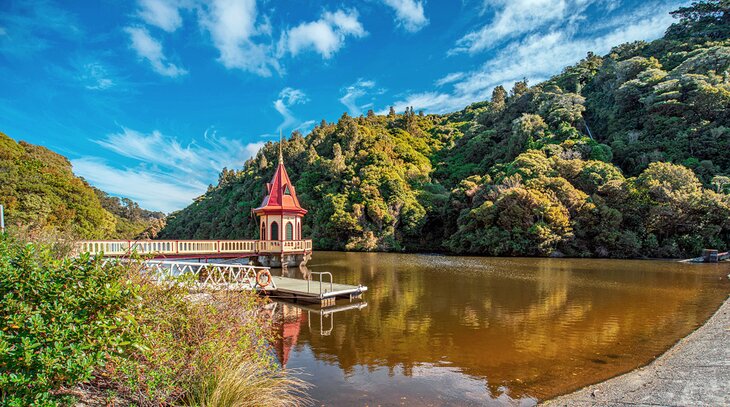 ZEALANDIA Ecosanctuary