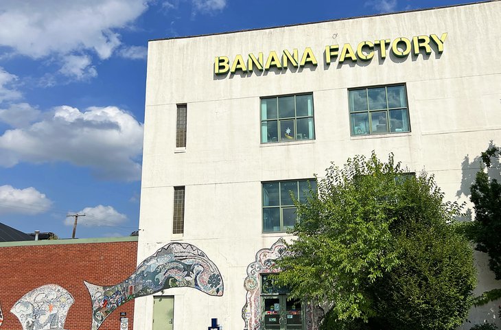 The Banana Factory