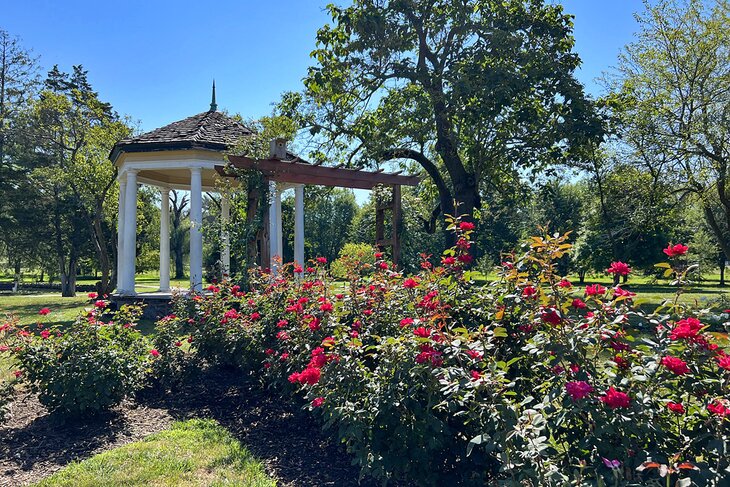 Malcolm Gross Rose Garden in Allentown | Photo Copyright: Joni Sweet