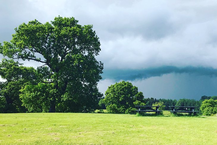 Muiravonside Country Park