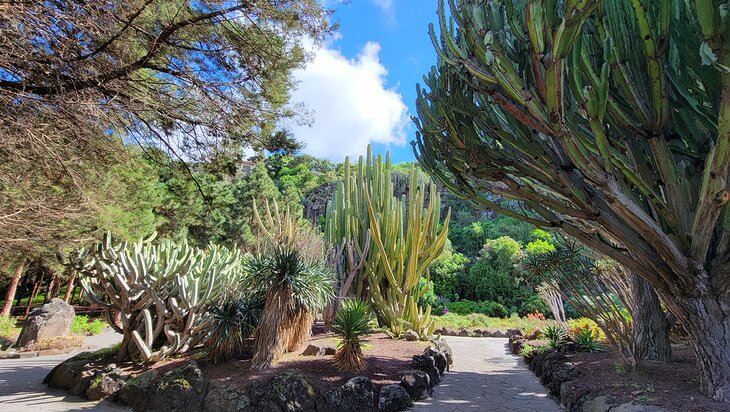 Jardin Botanico