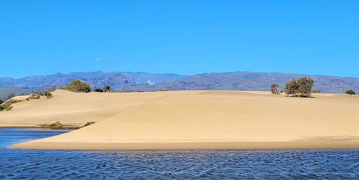 Las Dunas de Maspalomas