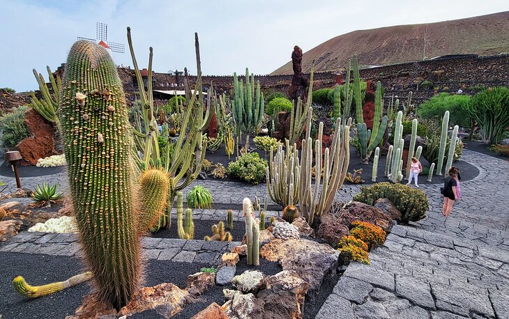 Las 13 cosas mejor valoradas para hacer en Lanzarote