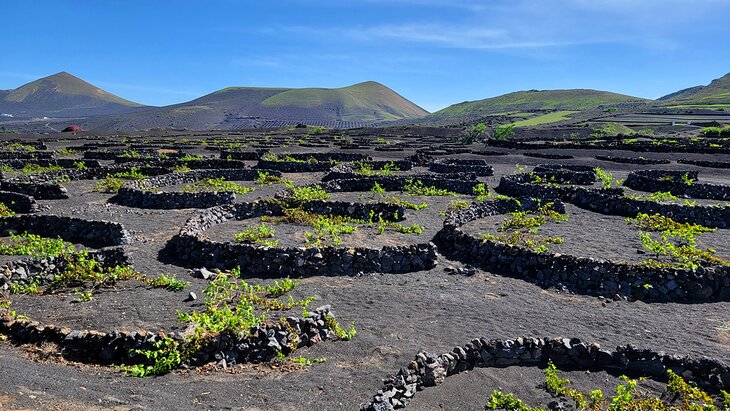 Las 13 cosas mejor valoradas para hacer en Lanzarote