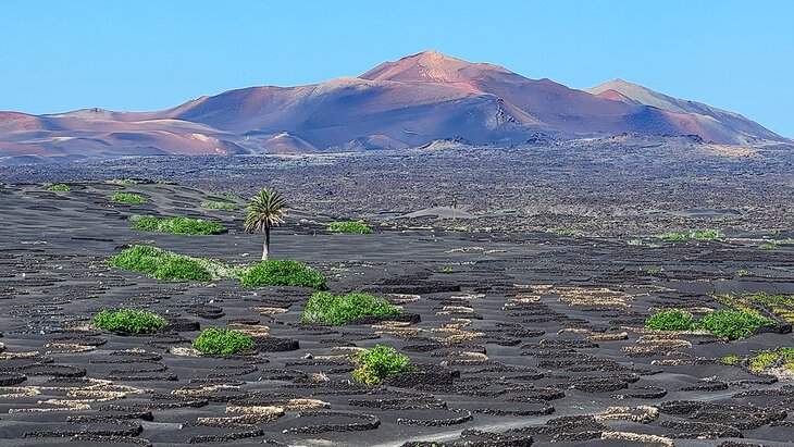 Las 13 cosas mejor valoradas para hacer en Lanzarote