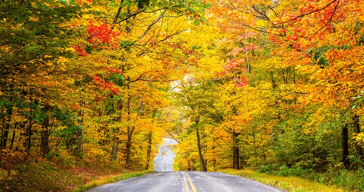 Road through fall colors in the Berkshires