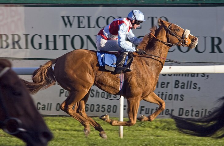 Brighton Racecourse