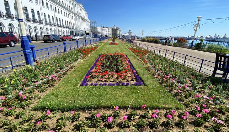 Carpet Gardens