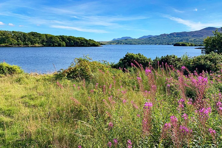 Trawsfynydd Lake