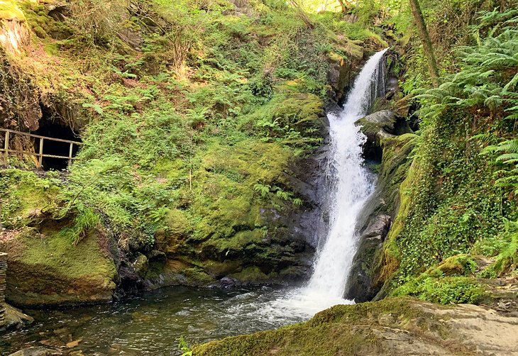 Dolgoch Falls