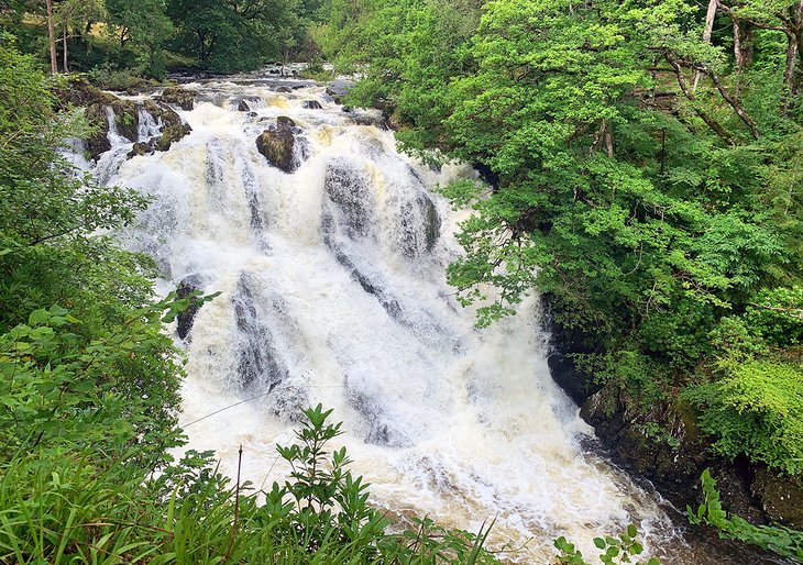 Swallow Falls