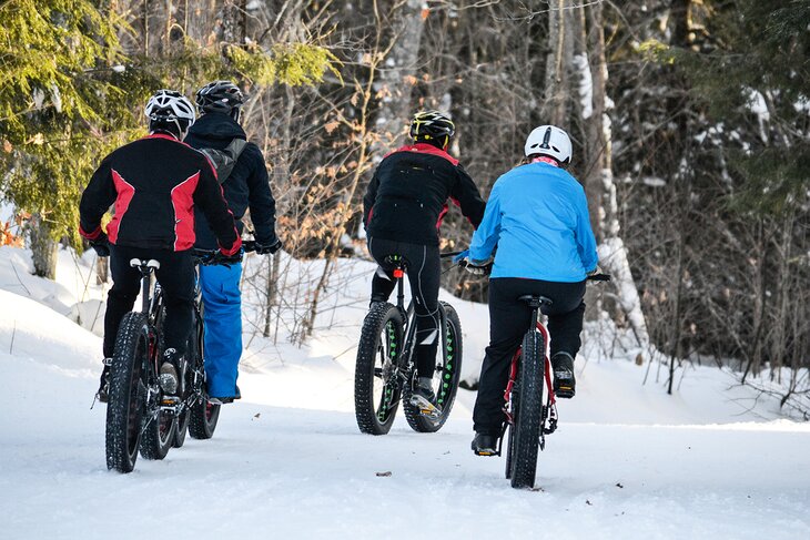 Fat bikes on snow