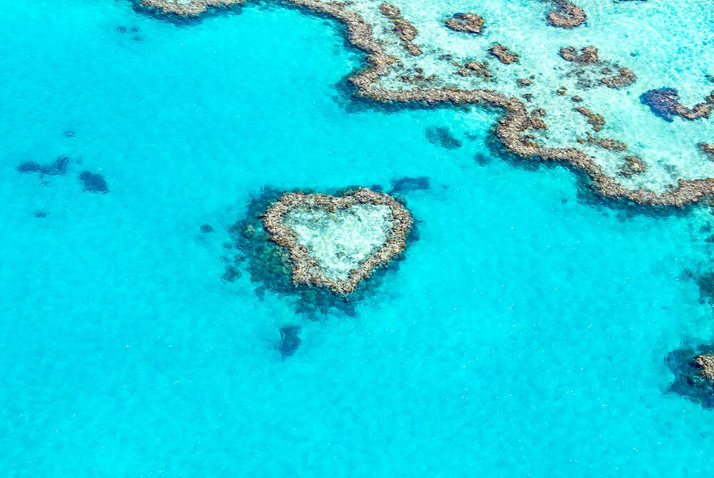 Heart Reef