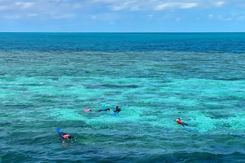 Snorkeling on the Great Barrier Reef off Airlie Beach