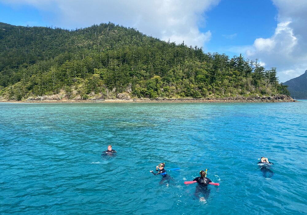 Snorkeling off Hook Island