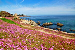 From San Francisco to Monterey: 3 Best Ways to Get There