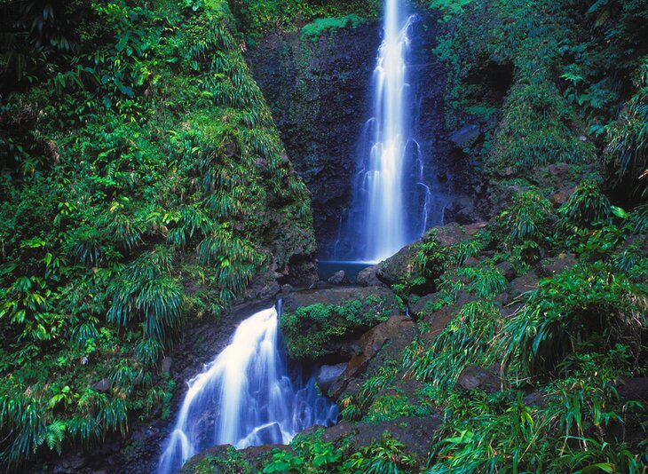 Middleham Falls