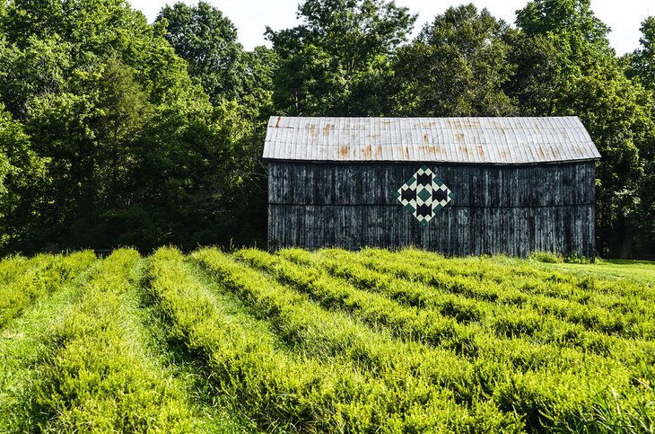 Barn Quilt Trail