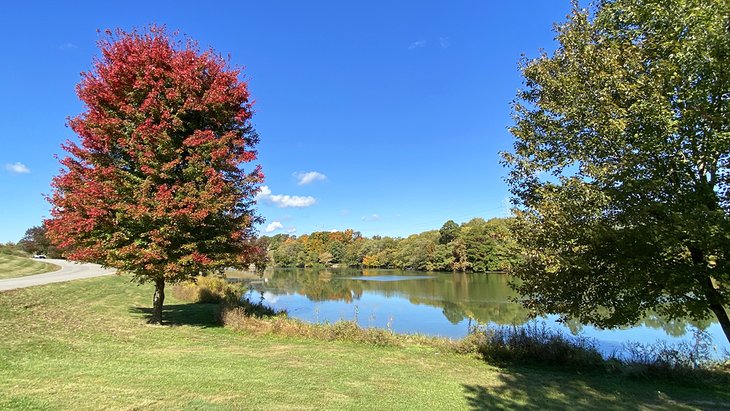 Camp Ernst Lake Park near Florence, KY