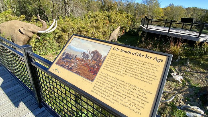 Big Bone Lick State Historic Site